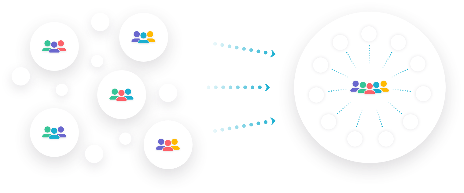 asana Organizations